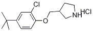 3-{[4-(tert-Butyl)-2-chlorophenoxy]-methyl}pyrrolidine hydrochloride 结构式