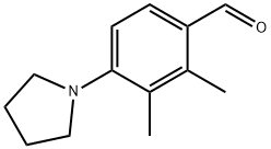 2,3-二甲基-4-(1-吡咯烷基)苯甲醛 结构式