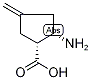 (1R,2S)-2-Amino-4-methylenecyclopentane-1-carboxylic acid 结构式