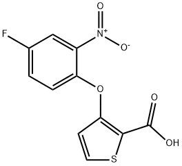 3-(4-FLUORO-2-NITROPHENOXY)THIOPHENE-2-CARBOXYLIC ACI 结构式