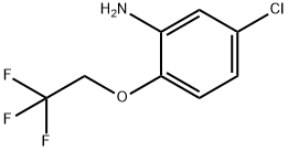 5-氯-2-(2,2,2-三氟乙氧基)苯胺 结构式