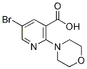 5-bromo-2-morpholinonicotinic acid 结构式