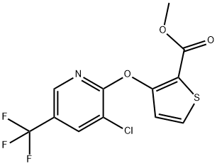 Methyl 3-[3-chloro-5-(trifluoromethyl)pyridin-2-yloxy]thiophene-2-carboxylate 97% 结构式