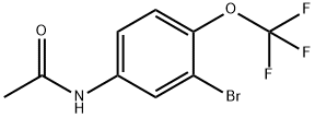 N-(3-溴-4-(三氟甲氧基)苯基)乙酰胺 结构式