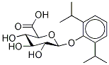 Propofol-d17 Glucuronide 结构式