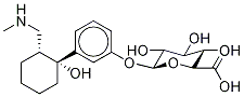 rel-3-[(1R,2R)-1-Hydroxy-2-[(MethylaMino)Methyl]cyclohexyl]phenyl β-D-Glucopyranosiduronic Acid 结构式