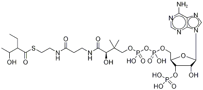 2-Ethyl-3-Hydroxybutyryl Coenzyme A 结构式