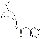 3α-Phenylacetoxy Tropane-d5 结构式