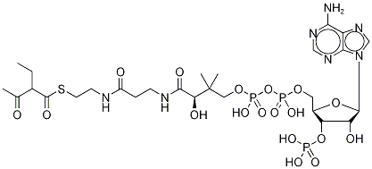 Coenzyme A S-(2-Ethyl-3-oxobutanoate)