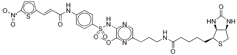 Biotin-NecrosulfonaMide Propyl AMide 结构式