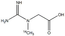 N-(氨基亚胺甲基-<SUP>14</SUP>C)-N-甲基甘氨酸 结构式