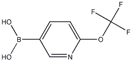 6-三氟甲氧基吡啶-3-硼酸 结构式