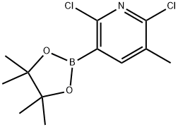 2,6-二氯-3-甲基-5-(4,4,5,5-四甲基-1,3,2-二氧杂环戊硼烷-2-基)-吡啶 结构式