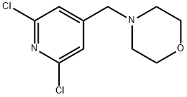 4 - [(2,6-二氯-4-吡啶基)甲基]吗啉 结构式