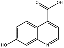 7-羟基喹啉-4-羧酸 结构式