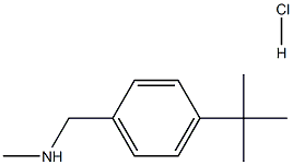 N-甲基-4-叔丁基苄基胺盐酸盐 结构式