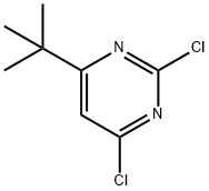 4-叔丁基-2,6-二氯嘧啶 结构式