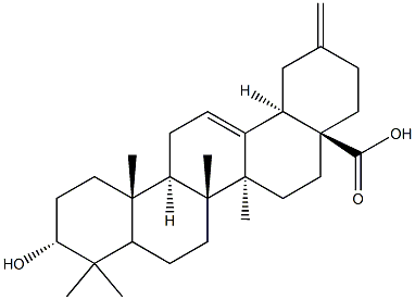 3ALPHA-木通萜酸 结构式