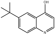 6-tert-Butyl-quinolin-4-ol 结构式