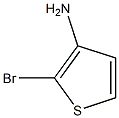 2-溴噻吩-3-胺 结构式