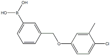 3-[(4-Chloro-3-Methylphenoxy)Methyl)phenylboronic 结构式