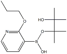 2-丙氧基-3-硼酸 频哪酯 结构式