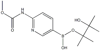 2-MethoxycarbonylaMinopyridine-5-boronic acid, pinacol ester, 97% 结构式