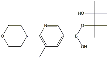 5-METHYL-6-MORPHOLINOPYRIDINE-3-BORONIC ACID PINACOL ESTER 结构式