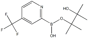 2-(4,4,5,5-四甲基-1,3,2-二噁硼烷-2-基)-4-(三氟甲基)吡啶 结构式