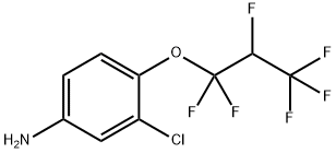 3-氯-4-(1,1,2,3,3,3-六氟丙氧基)苯胺 结构式