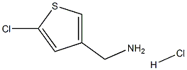 (5-氯噻吩-3-基)甲胺盐酸盐 结构式
