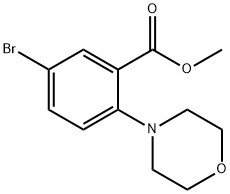 5-溴-2-吗啉苯甲酸甲酯 结构式