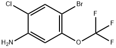 4-溴-2-氯-5-(三氟甲氧基)苯胺 结构式