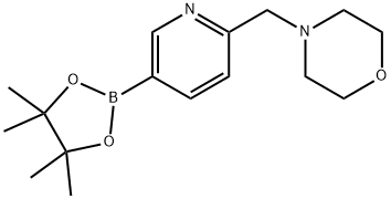 4-((5-(4,4,5,5-四甲基-1,3,2-二氧杂环戊硼烷-2-基)吡啶-2-基)甲基)吗啉 结构式
