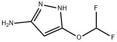 1H-Pyrazol-3-aMine, 5-(difluoroMethoxy)- 结构式