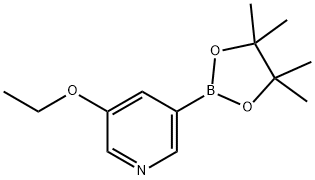 3-乙氧基-5-(4,4,5,5-四甲基-1,3,2-二氧杂环戊硼烷-2-基)吡啶 结构式