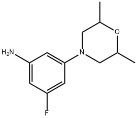 3-(2,6-二甲基吗啉)-5-氟苯胺 结构式