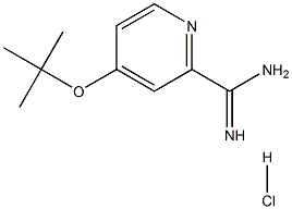 4-(叔丁氧基)皮考啉脒盐酸盐 结构式