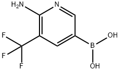 2-氨基-3-三氟甲基-5-吡啶硼酸 结构式