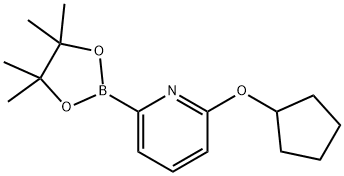 2-(环戊氧基)-6-(4,4,5,5-四甲基-1,3,2-二氧硼杂环戊烷-2-基)吡啶 结构式