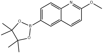 2-甲氧基喹啉-6-硼酸频哪酯 结构式