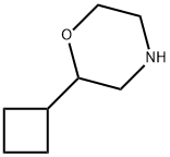 2-环丁基吗啉 结构式