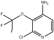 2-氯-3-(三氟甲氧基)吡啶-4-胺 结构式