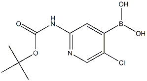(2-((叔丁氧羰基)氨基)-5-氯吡啶-4-基)硼酸 结构式