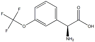 (S)-2-氨基-2-(3-(三氟甲氧基)苯基)乙酸 结构式