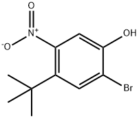 2-BROMO-4-TERT-BUTYL-5-NITRO-PHENOL 结构式