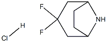 3,3-Difluoro-8-azabicyclo[3.2.1]octane hydrochloride 结构式