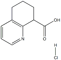 5,6,7,8-四氢喹啉-8-羧酸 结构式