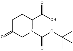 1,2-Piperidinedicarboxylic acid, 5-oxo-, 1-(1,1-diMethylethyl) ester 结构式