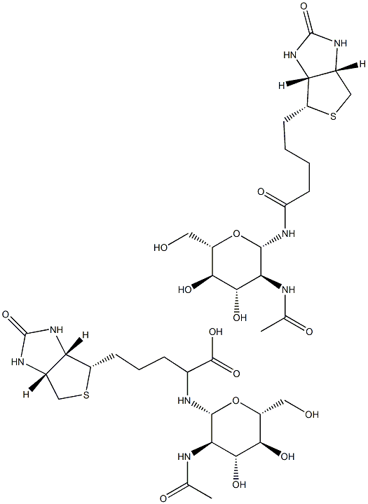 N-GLCNAC-生物素 结构式